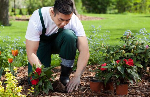 Gardener-Gallery-image-7